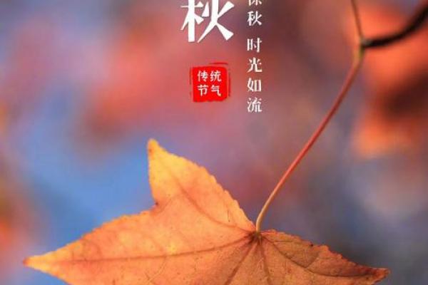 2019年立秋几点几分 立秋节气2019年精确时刻