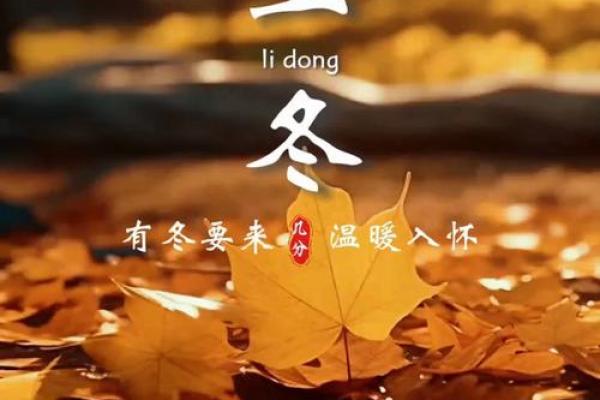 2023年立冬是几月几日日几点 今年立冬是哪一天几点开始