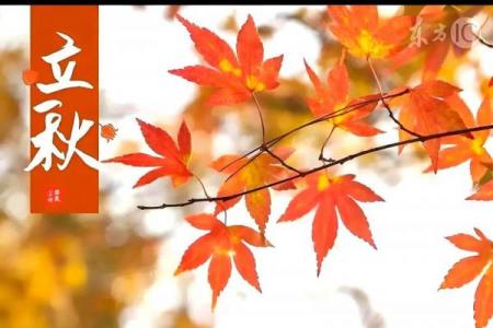 8月7日几点立秋的准确时间 今年立秋是8月7号几点钟