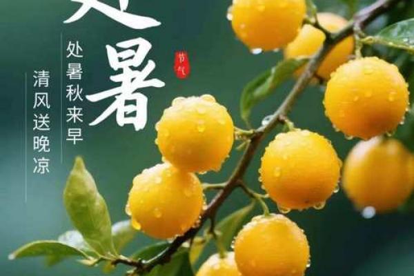 2021立秋下一个节气是什么 2021年处暑具体日期 2021立秋下一个节气是什么 2021年处暑具体日期