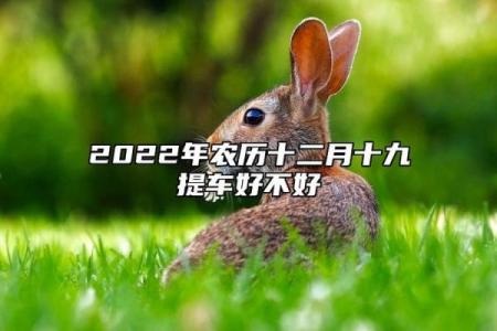 2025年12月免费提车吉日推荐，如何选择最旺运势的提车日期