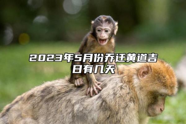 2028年11月理发入宅最好吉日 2028年11月理发黄道吉日查询 2028年11月理发入宅最好吉日 2028年11月理发黄道吉日查询