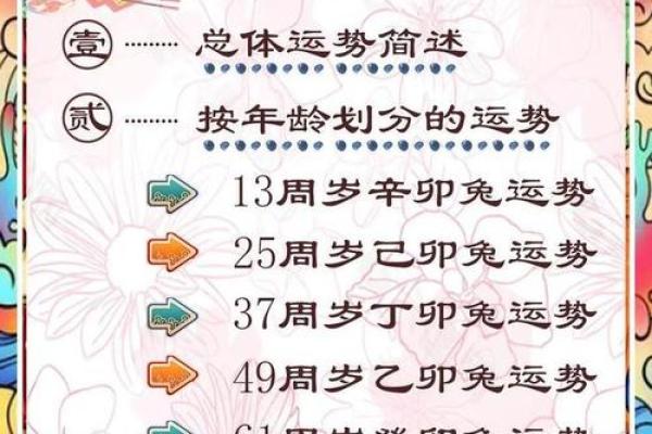 属兔的车主注意!农历几月提车最吉利?附详细黄道吉日推荐 属兔的车主注意!农历几月提车最吉利?附详细黄道吉日推荐