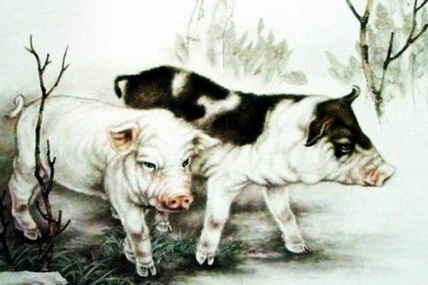生肖属猪的车主提车吉日怎么选?需要注意哪些风水禁忌? 生肖属猪的车主提车吉日怎么选?需要注意哪些风水禁忌?
