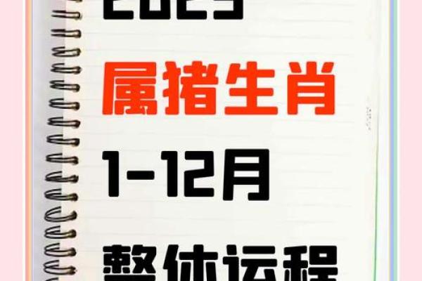 属猪的提车吉日 属猪的提车吉日