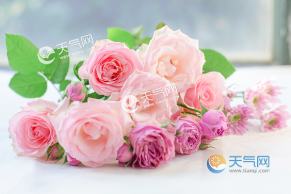 情人节是几号 情人节是几号