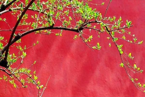 破土吉日9月哪天适合破土