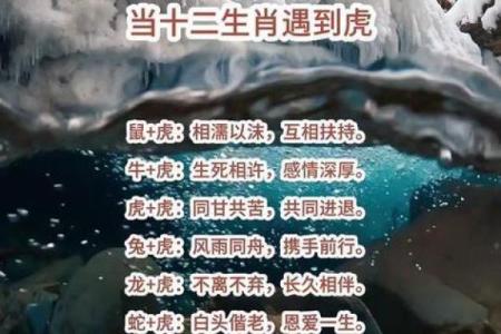 热议：属虎人提车的黄道吉日