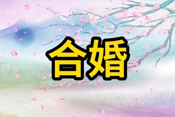 首曝:2025年10月8日结婚好吗?八字合婚与黄道吉日详细解析 首曝:2025年10月8日结婚好吗?八字合婚与黄道吉日详细解析