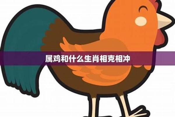 今早上:属鸡的车主提车黄道吉日怎么选?避开冲煞的注意事项大全 今早上:属鸡的车主提车黄道吉日怎么选?避开冲煞的注意事项大全