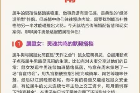 速览：2025年属牛人结婚大利月有哪些？如何挑选最佳婚期？
