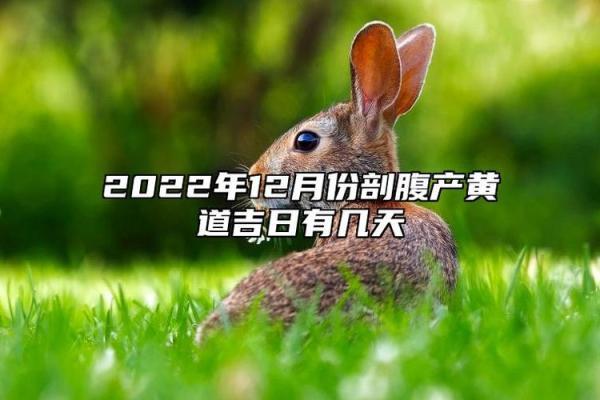 剧透:十二月份生孩子的黄道吉日有哪几天 12月剖腹产黄道吉日推荐 剧透:十二月份生孩子的黄道吉日有哪几天 12月剖腹产黄道吉日推荐