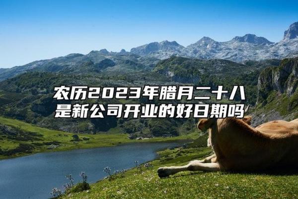 今早:2025年腊月开业吉日查询,哪些日期适合新店开张?求详细分析 今早:2025年腊月开业吉日查询,哪些日期适合新店开张?求详细分析