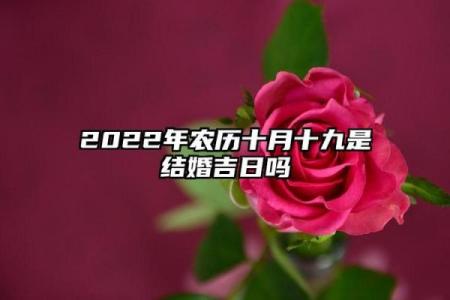 通知：2025年农历十九月提车黄道吉日查询，如何选择最吉利的日子提新车？