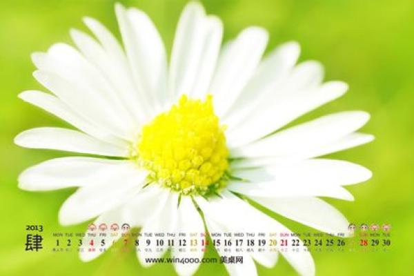 2027年1月份宜进人口黄道吉日有哪几天，重磅日历词语释义解析最佳精选解释